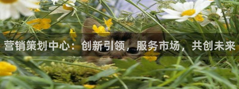 必赢手机版