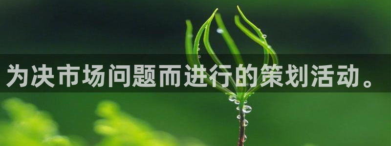 必赢国际的网站多少