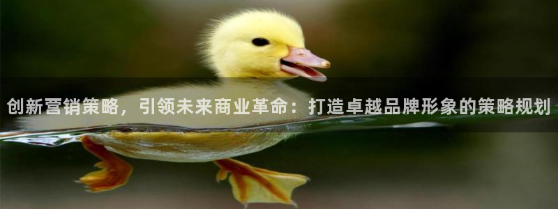 必赢科技：创新营销策略，引领未