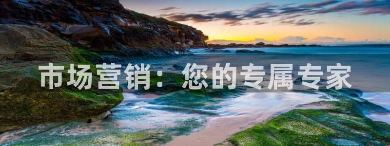 必赢88