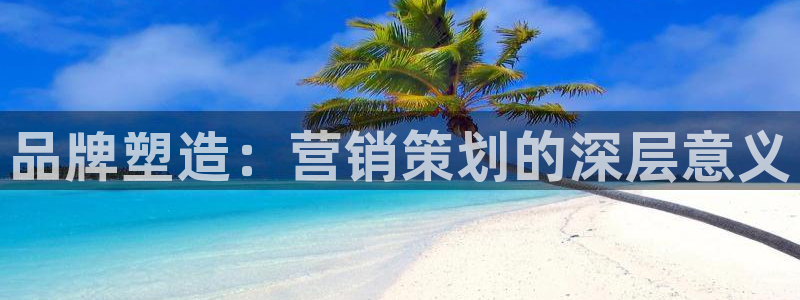 数三十游戏必赢技巧：品牌塑造：