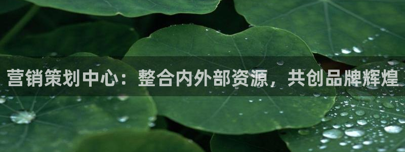 必赢72882网址：营销策划中