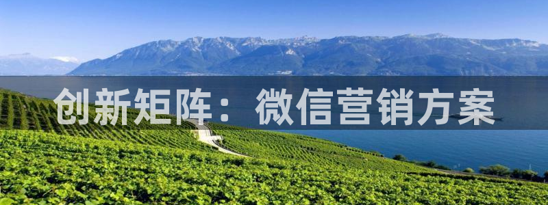 必赢国际437：创新矩阵：微信