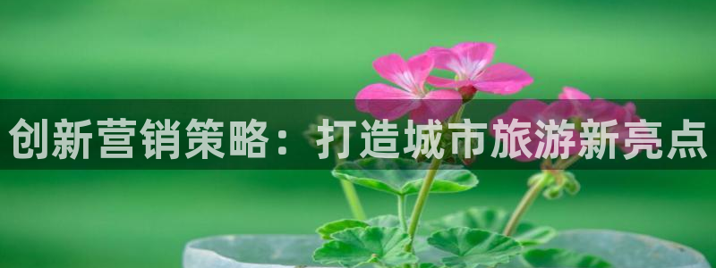 必赢九五