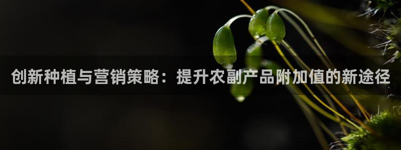 必赢平台官方下载