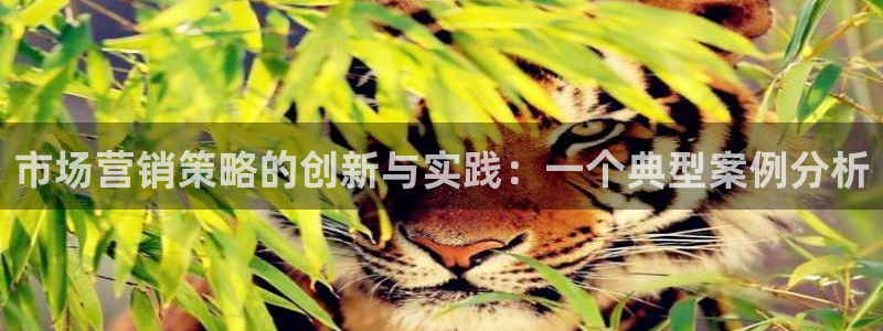 必赢app官方
