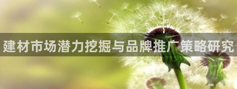 必赢平台网站多少