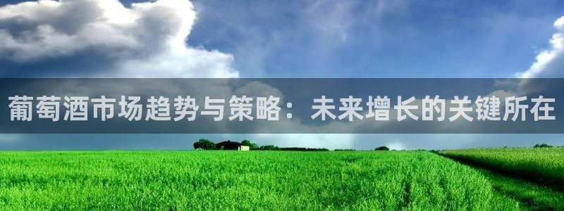 必赢是真的吗
