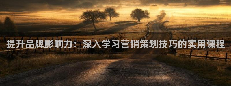 必赢72886网址多少啊