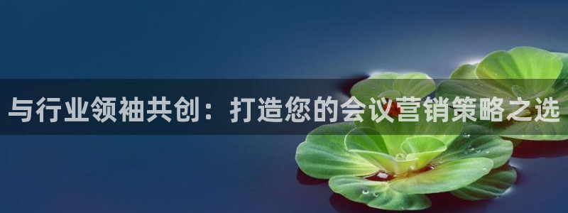 必赢网站是哪一个公司的