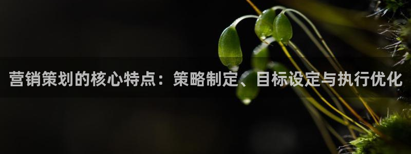 必赢亚赢网站官网下载安卓