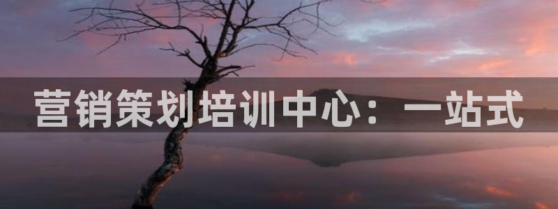 必赢平台怎么样可靠吗：营销策划