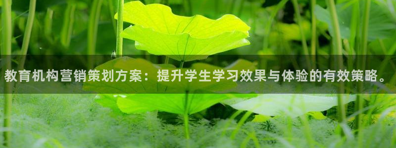 必赢官网网址多少号登录的