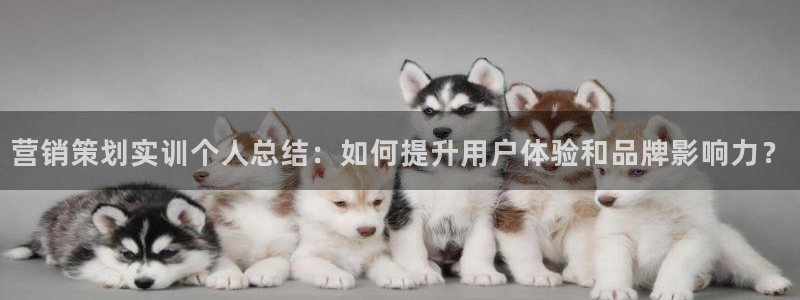 必赢官网app下载安装手机版