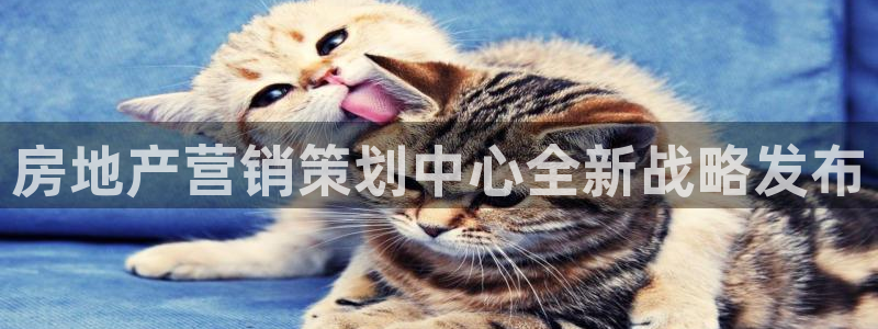 必赢国际是什么