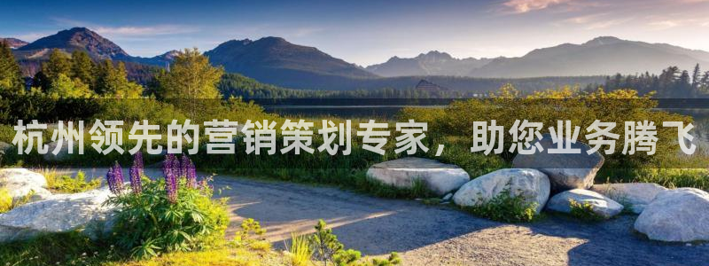 必赢国际软件下载