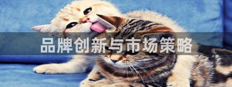 必赢下载软件