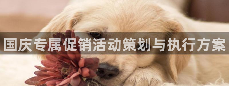 必赢国际437网页版