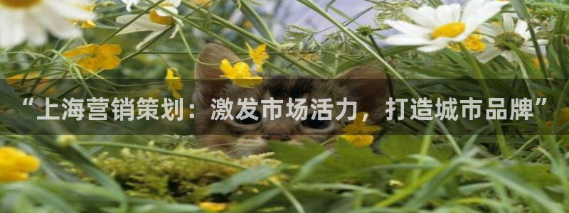 必赢国际437官方