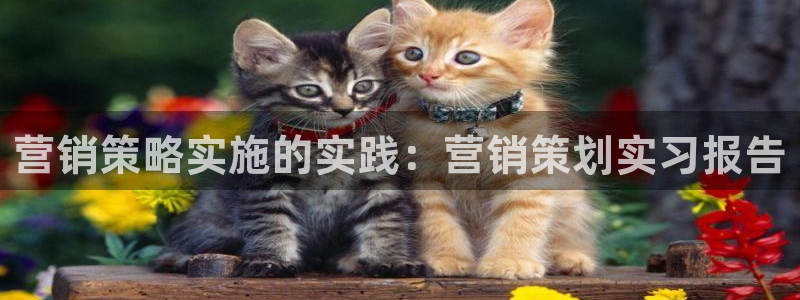 必赢手机版