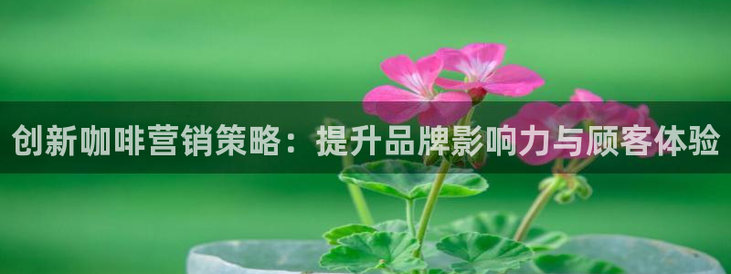 必赢网址官网