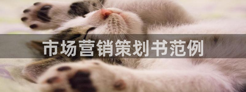 必赢手机app下载最新版安卓苹果可以用吗