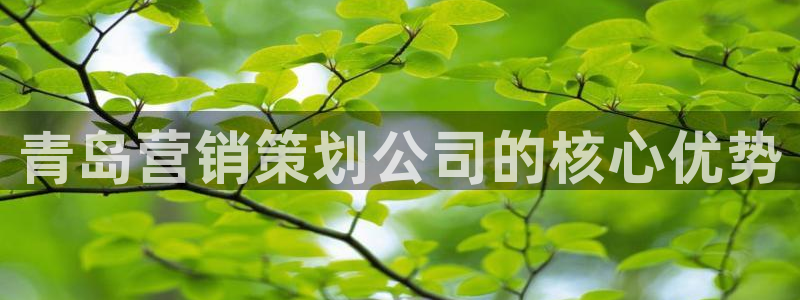 必赢国际437官方简介