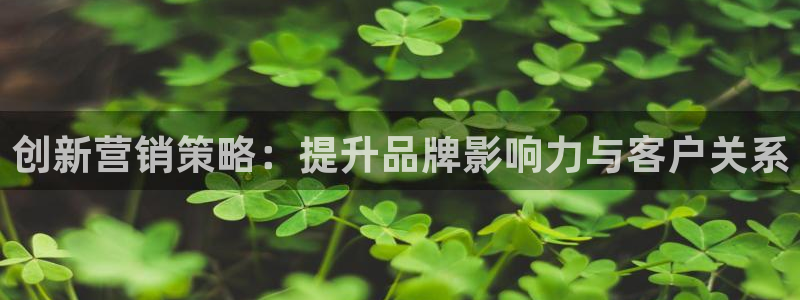 必赢官网入口下载app