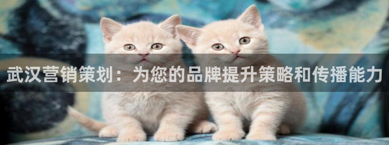 必赢国际437官方介绍