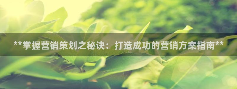 必赢官网网址8873