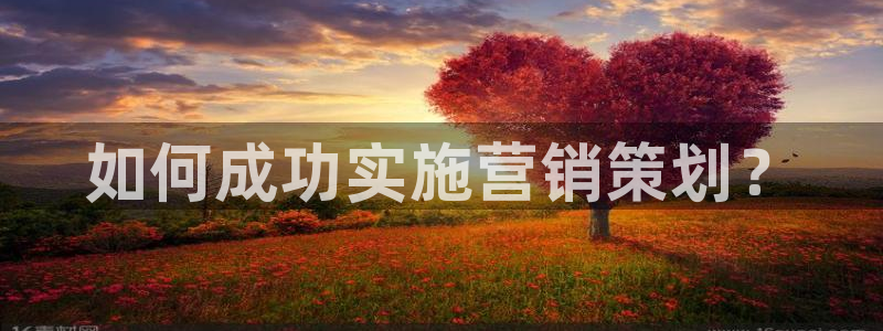 9965必赢游戏特色