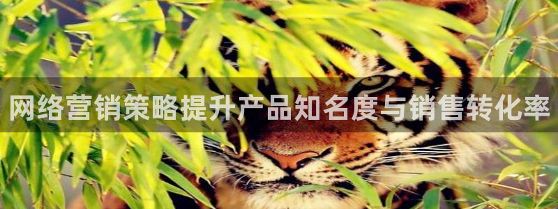 必赢官网app下载安装手机版最新版