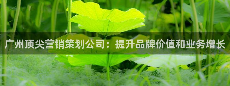 必赢公司是怎样的一家企业