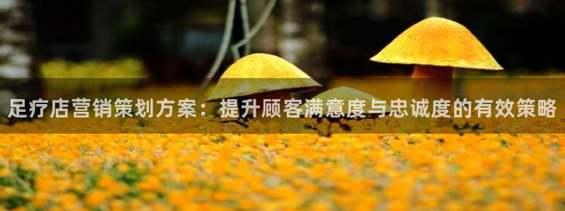 必赢必赢