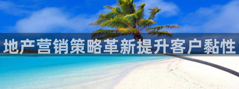 必赢公司