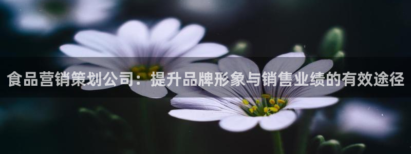 必赢官网app下载苹果手机