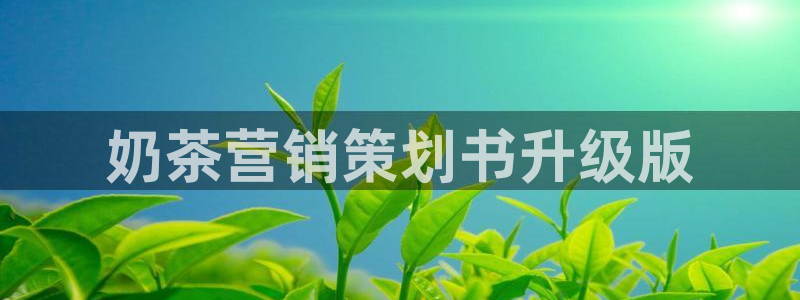 必赢国际app最新官网