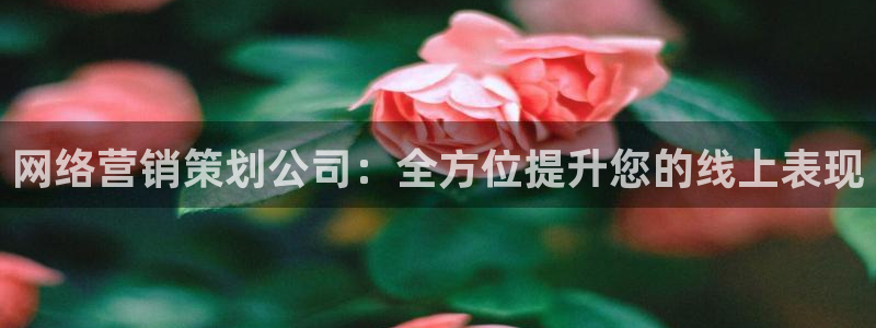 必赢平台电子