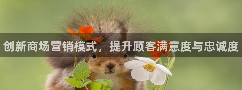 必赢437官网