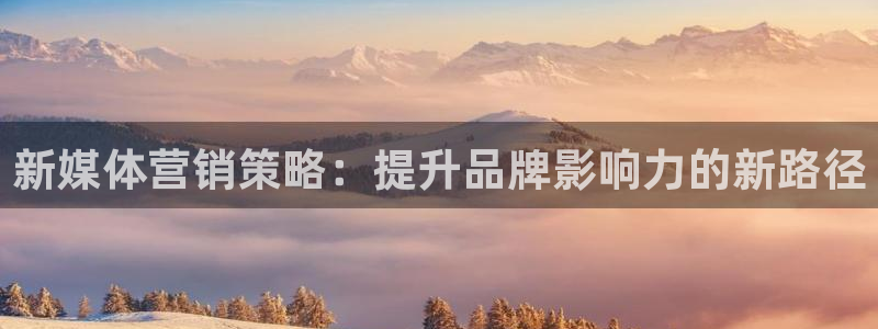 必赢平台官方客服电话