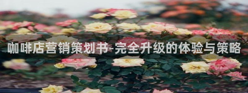 必赢手机app下载最新版本安装