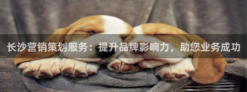 下载s7321必赢
