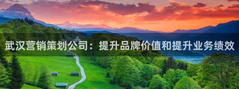 必赢科技有限公司