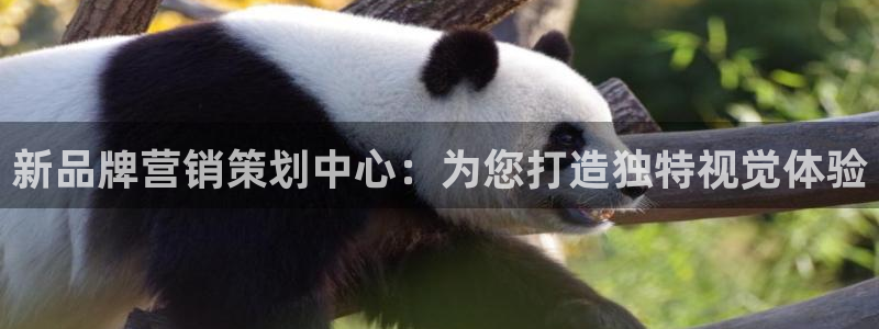 9965必赢游戏网址