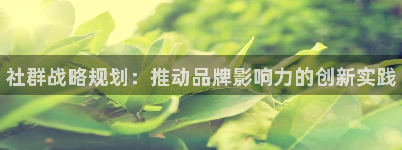 95必赢网址多少