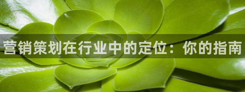 73882必赢app下载