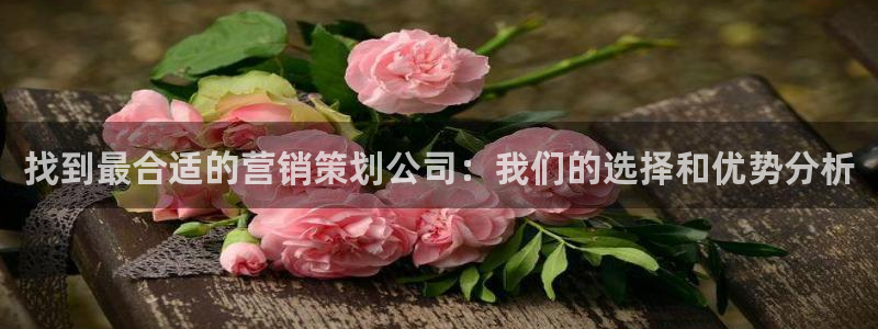必赢下载安卓版下载