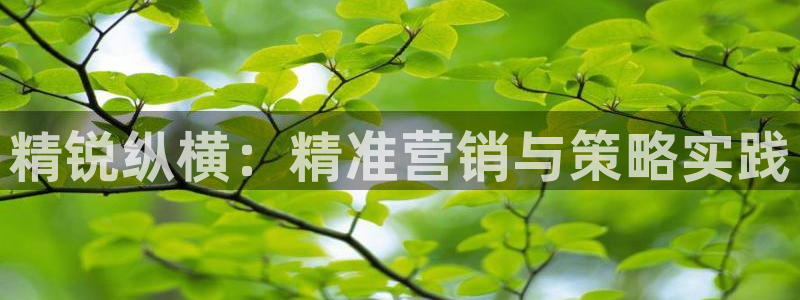 必赢app官方