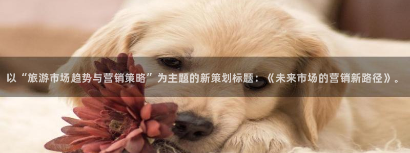 必赢国际游戏技巧