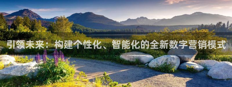 必赢官网网址多少